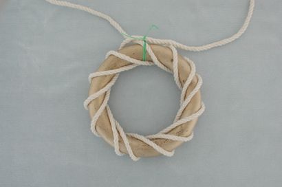 Complete torus knot.