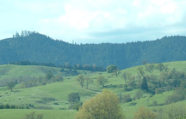 Green fields in Oregon.